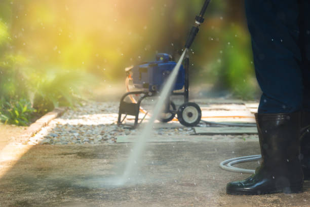Best Roof Cleaning and Mildew Removal in Shelbyvle, IL